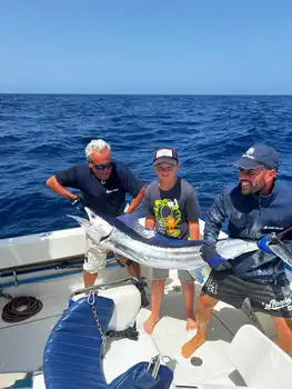 Blå marlin, spydfisk, hvit marlin White Marlin Gran Canaria