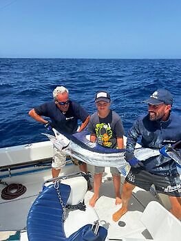 ¡Marlín azul, pez espada, marlín blanco! White Marlin Gran Canaria