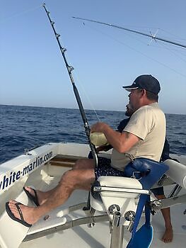 Blauwe marlijn speervis!!! White Marlin Gran Canaria