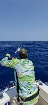 Vi fortsetter med den blå marlinen!!! White Marlin Gran Canaria