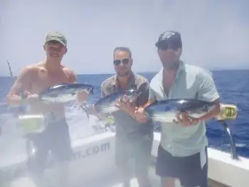 2 Blue Marlin, Skipjack tunfisk !!! White Marlin Gran Canaria