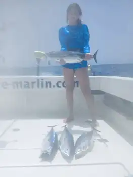 2 Blue Marlin, Skipjack tunfisk !!! White Marlin Gran Canaria