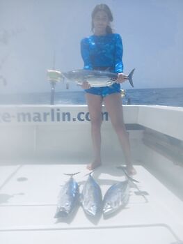 ¡¡¡Marlín, Atún listado!!! White Marlin Gran Canaria