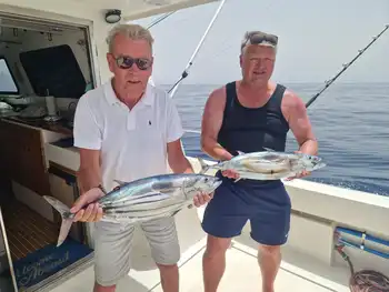 3 White Marlin, Skipjack Tunfisk!!! White Marlin Gran Canaria