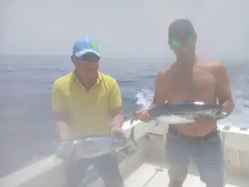 3 White Marlin, Skipjack Tunfisk!!! White Marlin Gran Canaria