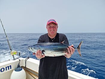 3 Marlin Blanco, Atún listado!!! White Marlin Gran Canaria