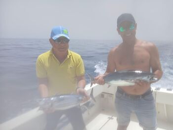 3 Marlin Blanco, Atún listado!!! White Marlin Gran Canaria
