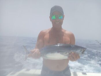 3 Marlin Blanco, Atún listado!!! White Marlin Gran Canaria
