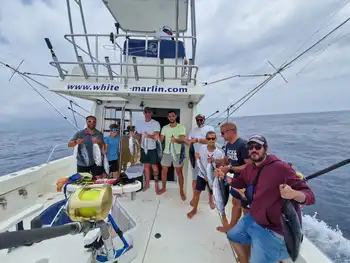 ¡¡¡Atunes barriletes!!! - White Marlin Gran Canaria
