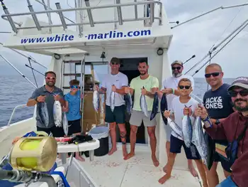 Skipjack Tunasssss!!! White Marlin Gran Canaria