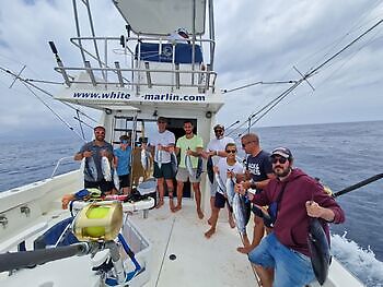 Marlin Marlin!!! White Marlin Gran Canaria