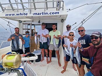 Blauer Marlin 260 kg !!! White Marlin Gran Canaria