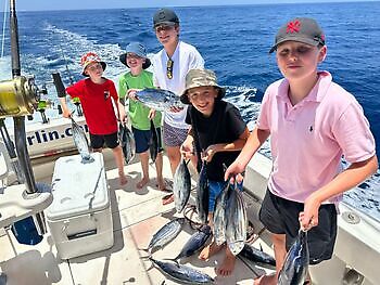 Blauer Marlin 260 kg !!! White Marlin Gran Canaria