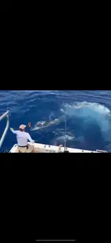Marlin, Marlin, Marlin … White Marlin Gran Canaria