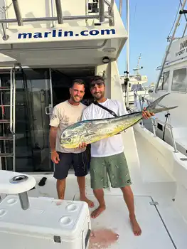 Mahi Mahi ,Skipjack Tuna!!!Gran Canaria!!! White Marlin Gran Canaria
