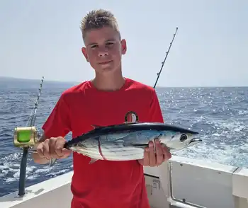 Mahi Mahi ,Skipjack Tuna!!!Gran Canaria!!! White Marlin Gran Canaria