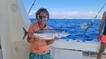 Mahi Mahi ,Skipjack Tuna!!!Gran Canaria!!! White Marlin Gran Canaria