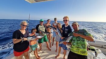 Mahi Mahi, Echter Bonito White Marlin Gran Canaria
