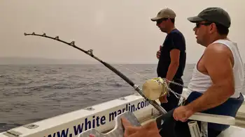 Blå marlin 260 kg!! White Marlin Gran Canaria