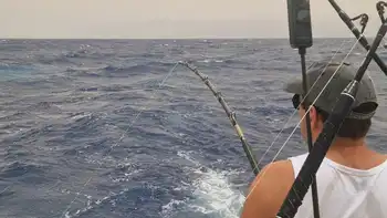 Blå marlin 260 kg!! White Marlin Gran Canaria