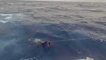 Blå marlin 260 kg!! White Marlin Gran Canaria