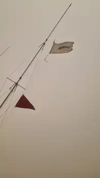 Blå marlin 260 kg!! White Marlin Gran Canaria