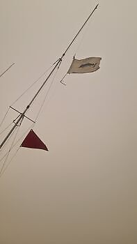Blauer Marlin 260 kg !!! White Marlin Gran Canaria