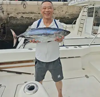 ¡¡¡Muchos, muchos atunes barriletes!!! White Marlin Gran Canaria
