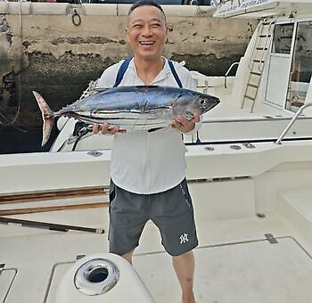 Många, många skipjack-tonfiskar!!! White Marlin Gran Canaria