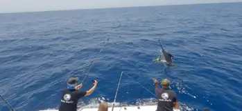 Blauwe marlijn meer dan 300kg!!! White Marlin Gran Canaria