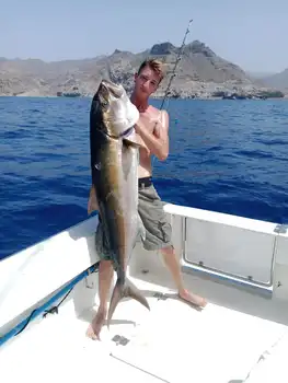Medregal de 31 kg !!! White Marlin Gran Canaria