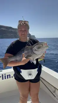 ¡¡¡Wahoo, pargos rojos…!!! White Marlin Gran Canaria
