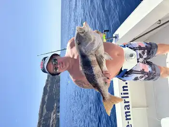 ¡¡¡Wahoo, pargos rojos…!!! White Marlin Gran Canaria