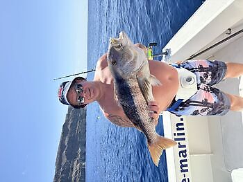 Wow, röda snappers!!! White Marlin Gran Canaria