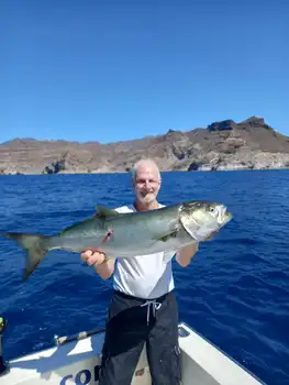 Kingfish, Atlantic tuna, Barracuda ……. White Marlin Gran Canaria