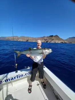 Kingfish, Atlantic tuna, Barracuda ……. White Marlin Gran Canaria