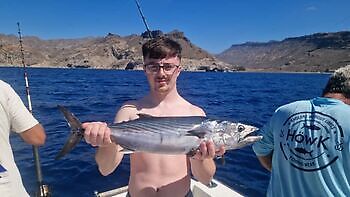 Kungfisk, barracuda, tonfisk från Atlanten…… White Marlin Gran Canaria