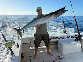 Wahoo 18/20 kg White Marlin Gran Canaria