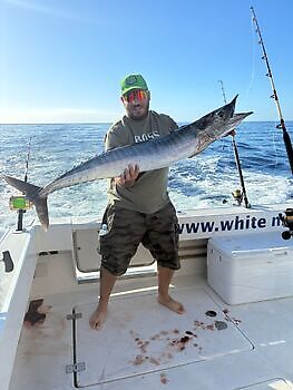 Wahoo 18/20 kg White Marlin Gran Canaria