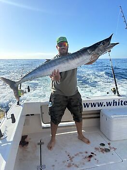 Wahoo 18/20 kg White Marlin Gran Canaria