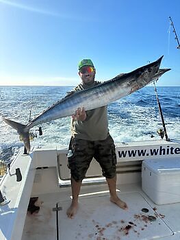 Wahoo 18/20 kg White Marlin Gran Canaria