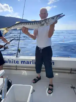 Barracudas,Wahoo,yellowjack… White Marlin Gran Canaria