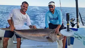 Bernsteinmakrele 40/45kg White Marlin Gran Canaria