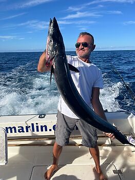 Wahoo 16/18 kg White Marlin Gran Canaria