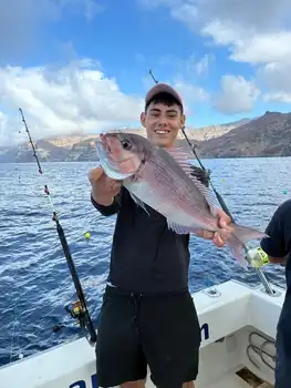 Barracuda, rød snapper, ravfisk……. White Marlin Gran Canaria
