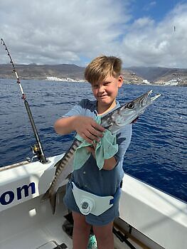 Barracuda, röd snapper, röntgenfisk……. White Marlin Gran Canaria