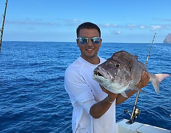 Barracuda, röd snapper, röntgenfisk……. White Marlin Gran Canaria