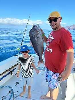 Barracuda, röd snapper, röntgenfisk……. White Marlin Gran Canaria