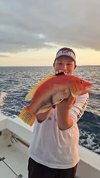 Barracuda, röd snapper, röntgenfisk……. White Marlin Gran Canaria