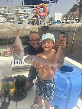 Barracuda, röd snapper, röntgenfisk……. White Marlin Gran Canaria
